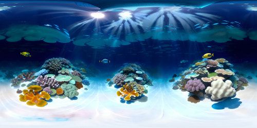 Tropical coral reef