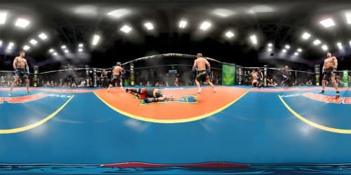 in UFC , one man fighting live