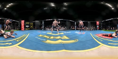 in UFC , one man fighting live