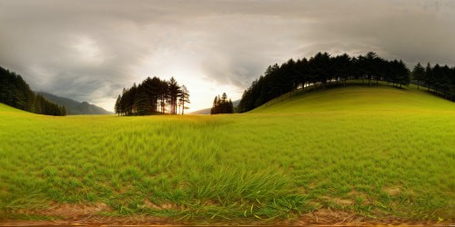 grassy field