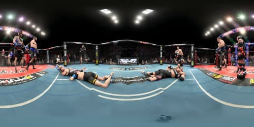 in UFC , two man fighting live