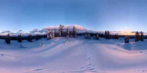 5 blondes, pink leotards, deep squatting, blue eyes, eye contact